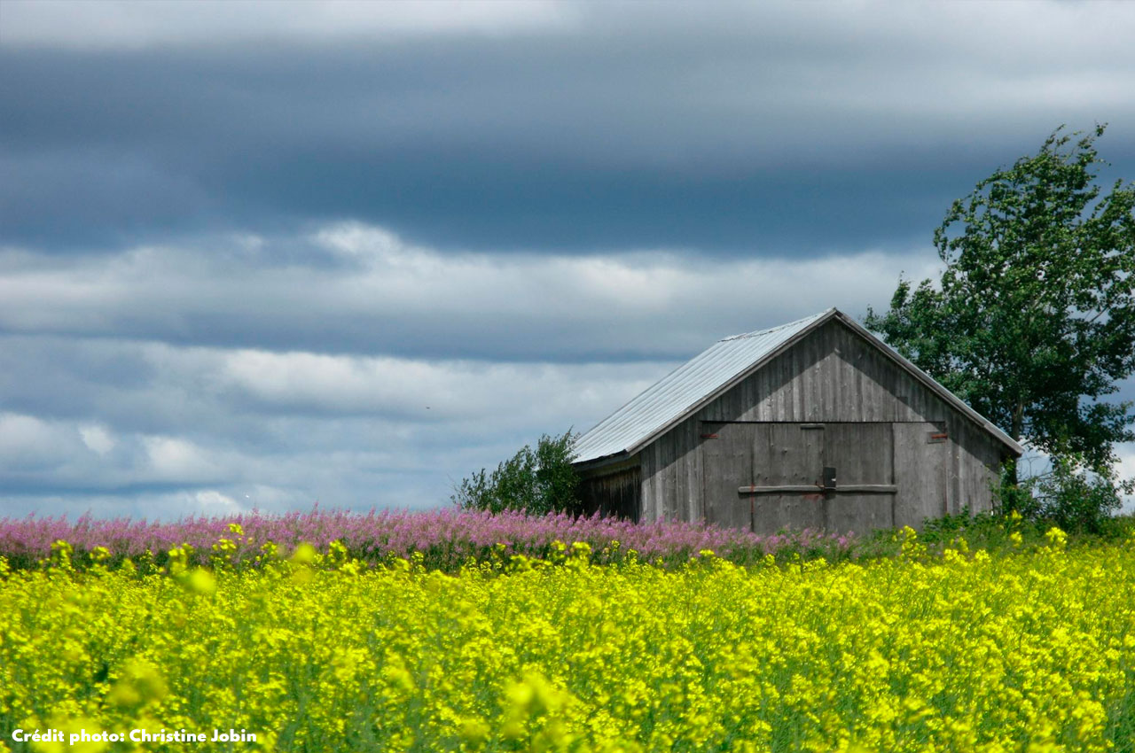 St-Édmond-les-Plaines Lac-Saint-Jean