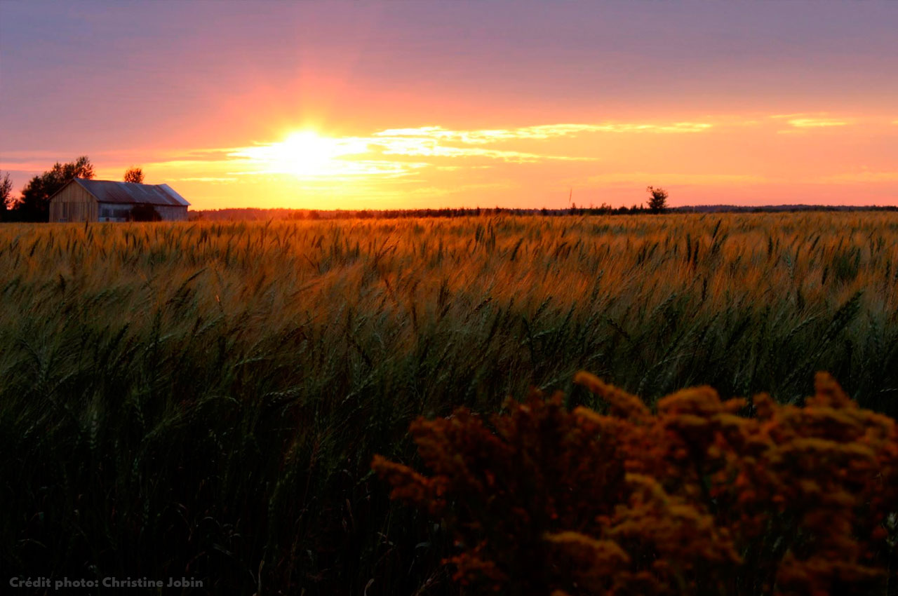 St-Édmond-les-Plaines Lac-Saint-Jean
