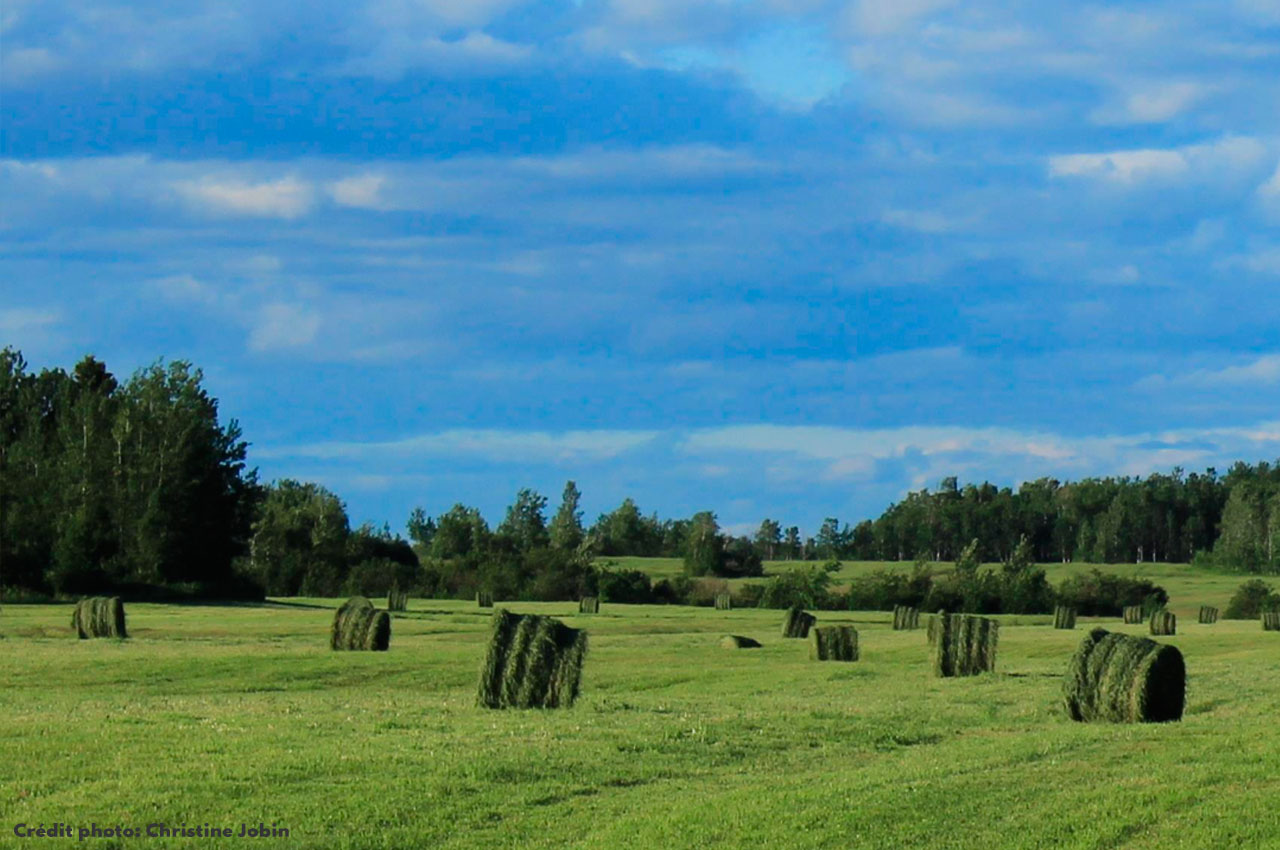 St-Édmond-les-Plaines Lac-Saint-Jean