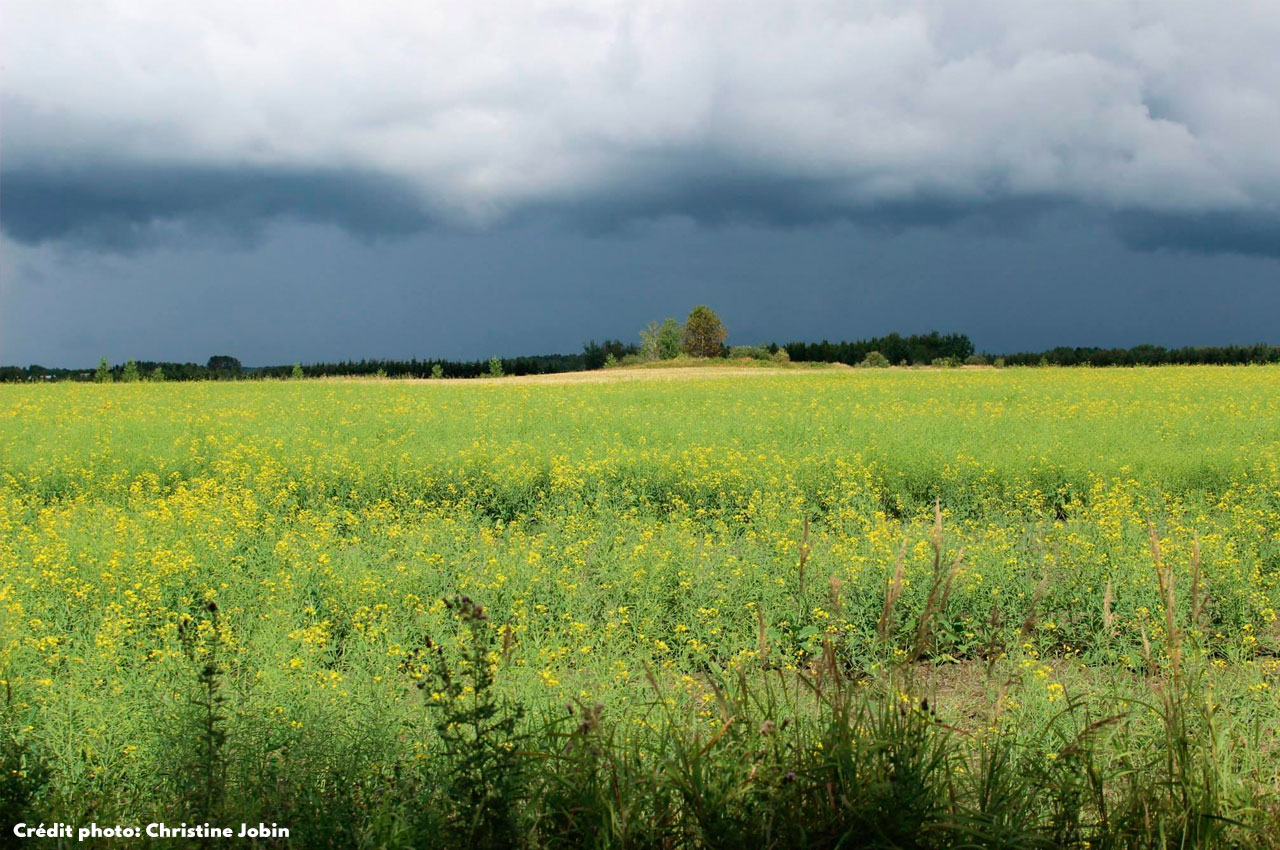 St-Édmond-les-Plaines Lac-Saint-Jean